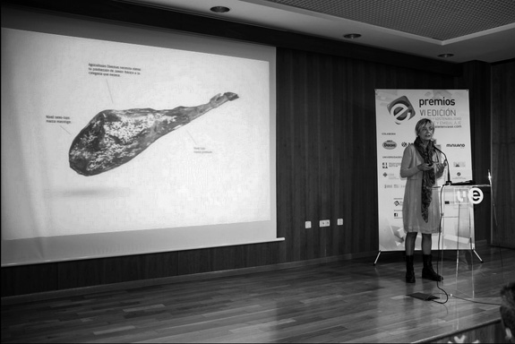 Conferencia Extrem Puro Extremadura