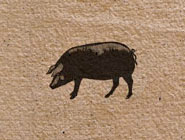 andares de la dehesa